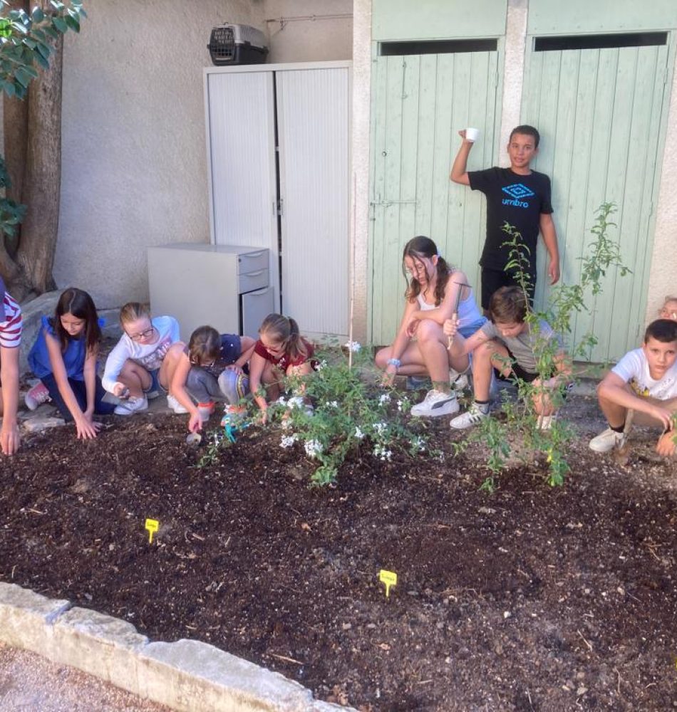 51c6f16b-7509-4560-9fd7-ad36a0ac3b53